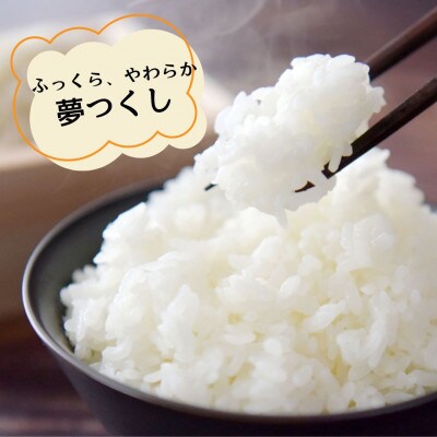 夢つくし　無洗米【真空パック】7.5kg(750g×10袋)(川崎町)