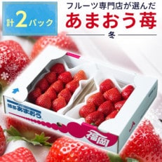 福岡産【冬】あまおういちご約250g&times;2パック(川崎町)