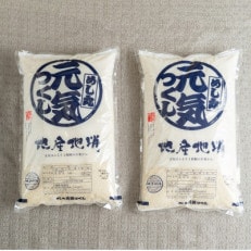 福岡産ブランド米「元気つくし」5kg×2袋(川崎町)