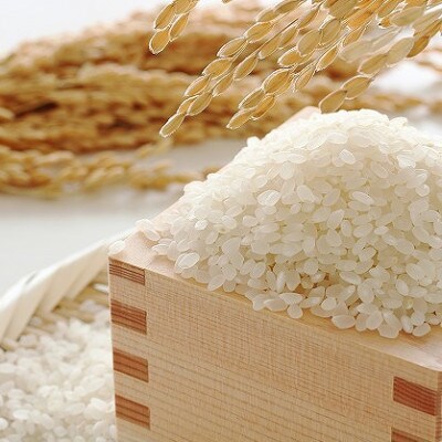 福岡産夢つくし5kg元気つくし5kg(川崎町)