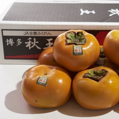 福岡産ブランド柿・秋王4-6玉(約1.5kg)(川崎町)