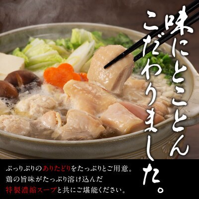 濃厚スープと注目の銘柄鶏の旨味がたっぷり!博多風水炊きセット 6～8人前(川崎町)