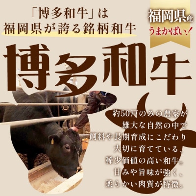 【博多和牛】プルコギ風の味付肉 500g×3袋【合計1.5kg】(川崎町)