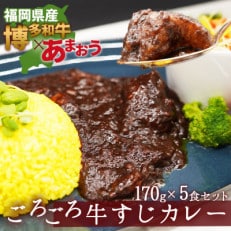 博多和牛100%使用!!あまおうがほのかに香る牛すじゴロっとカレー(170g&times;5袋)(川崎町)