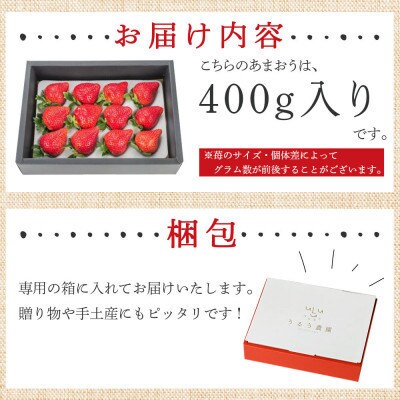 【先行受付】特選あまおう　400g(川崎町)