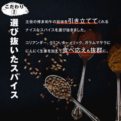 100%博多和牛のキーマカレー (180g×3パック)(川崎町)