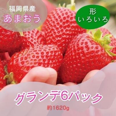 あまおうグランデサイズ】270g(3玉～15玉)×6パック【1月より順次