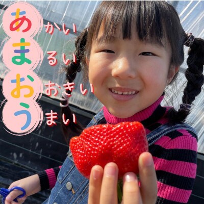 【福岡スイーツ自然の贈り物】化粧箱入り!福岡県産冷凍あまおう(計3kg[500g×6袋])(川崎町)