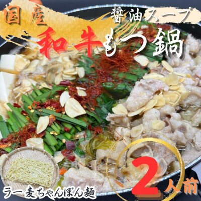 【化粧箱入り】素材にこだわりました!厳選博多牛もつ鍋セット(2人前醤油スープ)(川崎町)