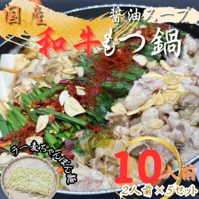 【化粧箱入り】素材にこだわりました!厳選博多牛もつ鍋セット(10人前醤油スープ)(川崎町)