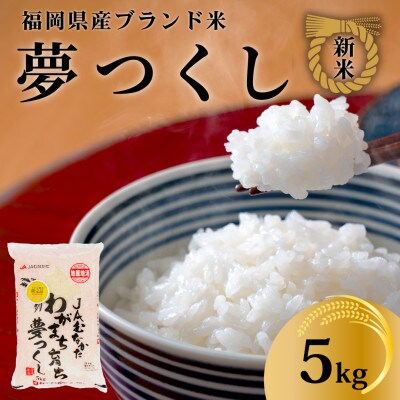 【化粧箱入り】新米!!令和7年産 福岡県産米 夢つくし 5kg(5kg×1袋)(川崎町)