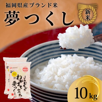 新米!!令和7年産 福岡県産米 夢つくし 合計10kg(5kg×2袋)(川崎町)