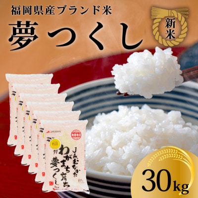 新米!!令和7年産 福岡県産米 夢つくし 合計30kg(5kg×6袋)(川崎町)