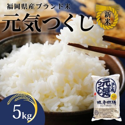 【化粧箱入り】新米!!令和7年産 福岡県産米 元気つくし 5kg(5kg×1袋)(川崎町)
