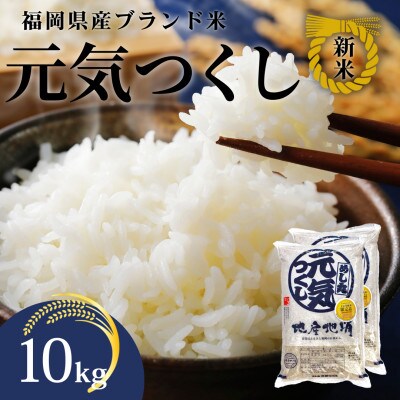 新米!!令和7年産 福岡県産米 元気つくし 合計10kg(5kg×2袋)(川崎町)