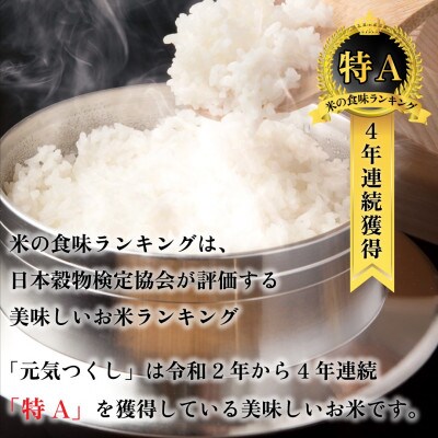 新米!!令和7年産 福岡県産米 元気つくし 合計10kg(5kg×2袋)(川崎町)