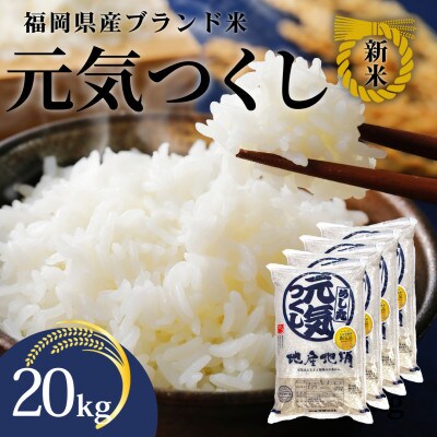 新米!!令和7年産 福岡県産米 元気つくし 合計20kg(5kg×4袋)(川崎町)