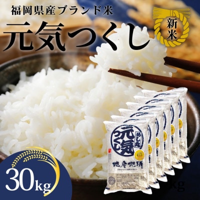 新米!!令和7年産 福岡県産米 元気つくし 合計30kg(5kg×6袋)(川崎町)