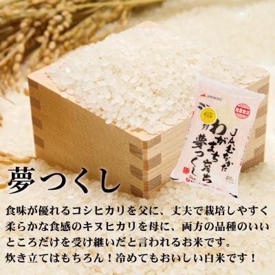 新米!!令和7年産 福岡県産米 (夢つくし・元気つくし) 合計30kg 各5kg×3袋(川崎町)