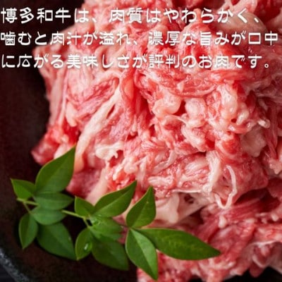 【訳あり】【A4～A5ランク】博多和牛 切り落とし 250g(川崎町)
