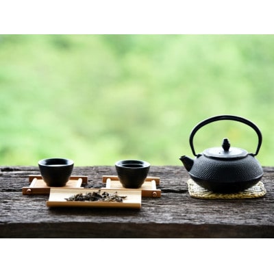 八女茶　煎茶セット　100g×2袋(川崎町)