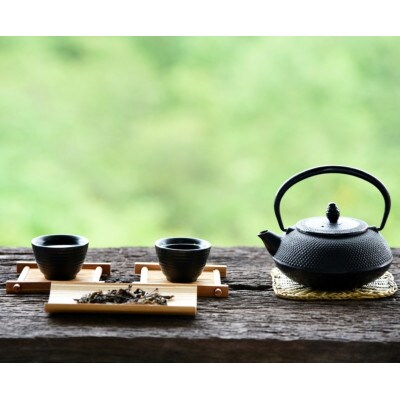 八女茶【特上】煎茶セット　100g×2袋(川崎町)