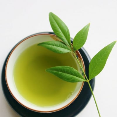 八女茶【特上】煎茶セット　100g×2袋(川崎町)