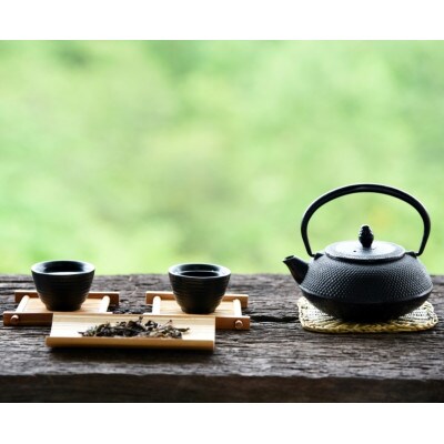 【毎月定期便】八女茶　煎茶セット　100g×2袋(川崎町)全2回