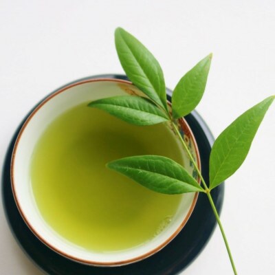 【毎月定期便】八女茶　煎茶セット　100g×2袋(川崎町)全3回