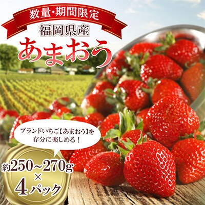 【先行予約】【数量限定】福岡県産あまおう 約250~270g×4パック 【2027年3月下旬～発送】