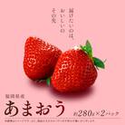 福岡県産 あまおう 約280g×2パック(川崎町)
