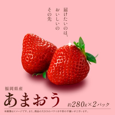 福岡県産 あまおう 約280g×2パック(川崎町)