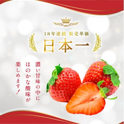 福岡県産 あまおう 約280g×2パック(川崎町)