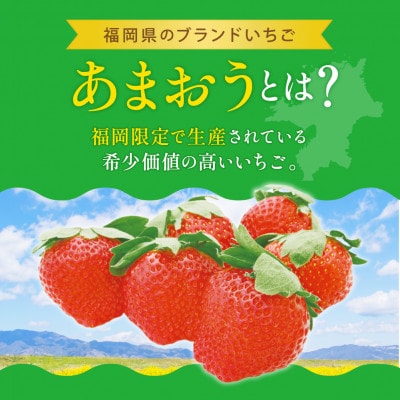 福岡県産 あまおう 約280g×2パック(川崎町)
