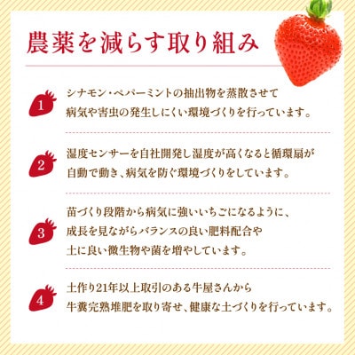 福岡県産 あまおう 約280g×2パック(川崎町)