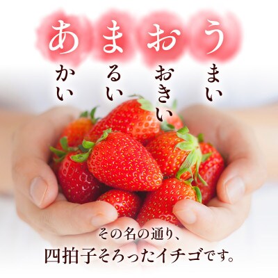 【1月より順次発送】福岡県産 あまおう 1500g(250g×6パック)(川崎町)