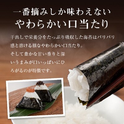 福岡有明のり 一番摘み 焼き海苔 合計63枚分(2切7枚入×9袋) (川崎町)