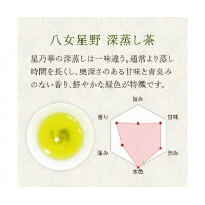 訳あり品 八女星野茶 深蒸し茶200g 八女茶(川崎町)