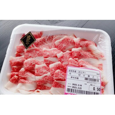 近江牛厳選切り落とし　500g×1