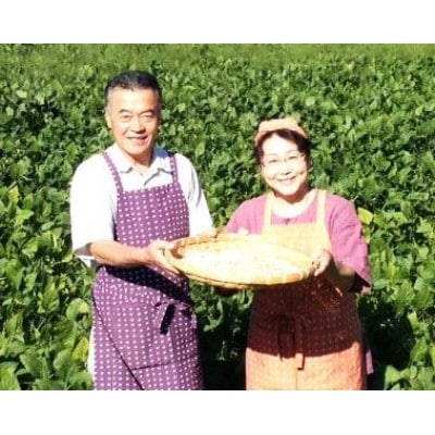 信楽　たぬき味噌2個セット　スタンダード、生姜　A-2