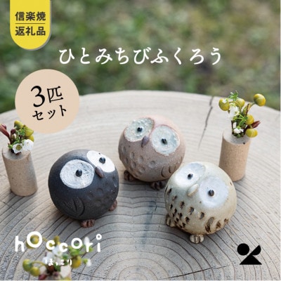 信楽焼・明山の　ひとみちびふくろう　3匹セット　hc-060708