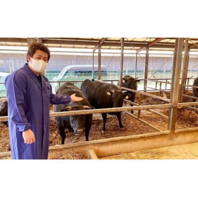 近江牛 澤井牧場 サイコロステーキ 500g　牛脂付き