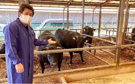 近江牛 澤井牧場 すき・しゃぶ用(霜降) 800g