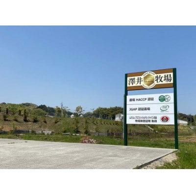 近江牛 澤井牧場 焼肉盛り合わせ(赤身) 600g