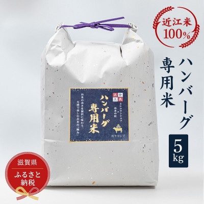 ハンバーグ専用米　5kg【近江米100%】