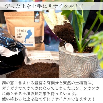植物由来100% 天然土壌菌入りオーガニック肥料 湖の恵 添加タイプ　350g×5袋 [水草堆肥]