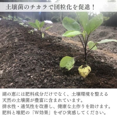 植物由来100% 天然土壌菌入りオーガニック肥料 湖の恵 お花と庭のお手入れセット　[水草堆肥]