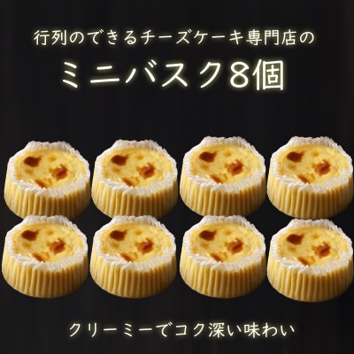 ミニバスクチーズケーキ　プレーン　4個入り×2箱　冷凍