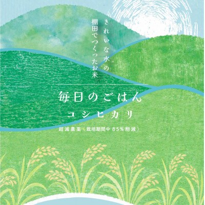 ◆毎日のごはん◆きれいな水の棚田でつくったお米 特別栽培米 コシヒカリ玄米 5kg×1袋