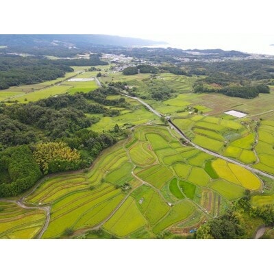 米粒が光る近江棚田米 特別栽培米 滋賀県大津市産 コシヒカリ白米 5kg×1袋